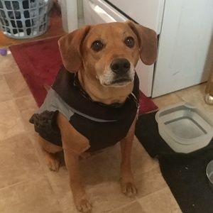 Meet your Posher, Jodi